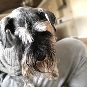 Meet your Posher, Samuel